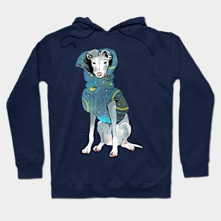 Dog in Popon 2 Hoodie